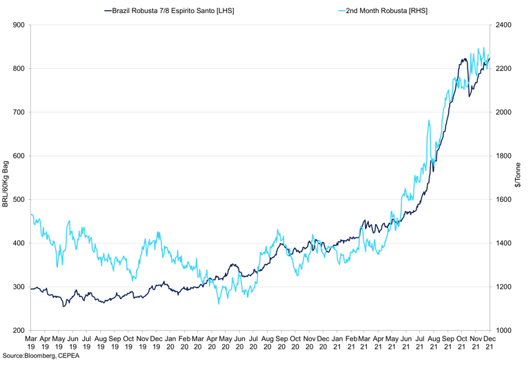Brazil Robusta 78 Espirato Santo Vs 2Nd Month Robusta