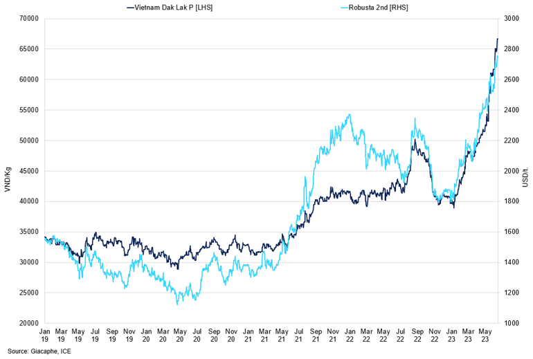 Vietnam Dak Lak Prices Vs Robusta 2Nd Month