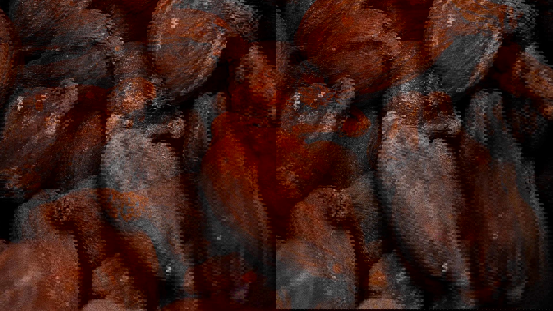 Samuel Belachew Es2ogpggnig Unsplash