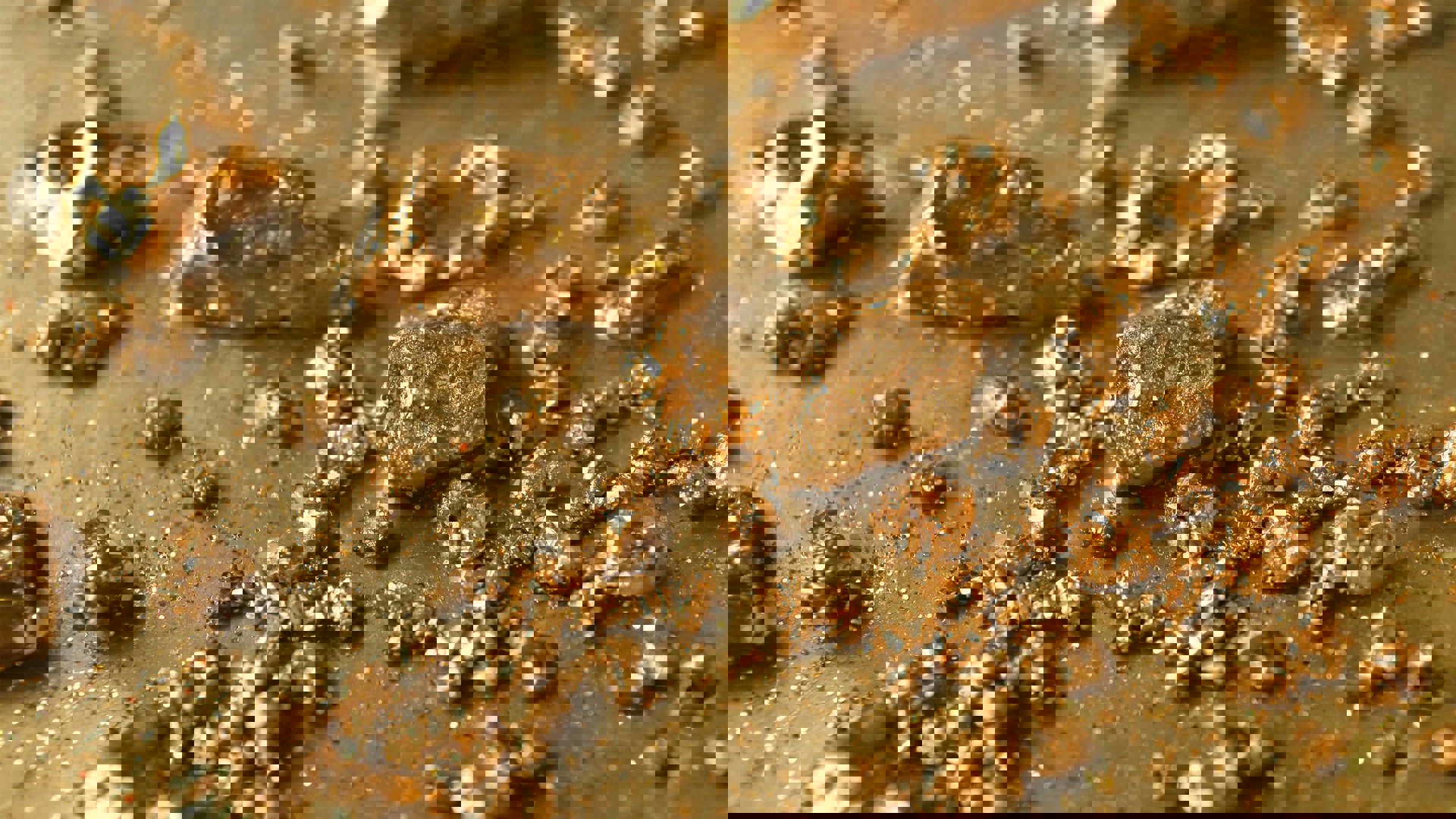 Adobestock 228267713