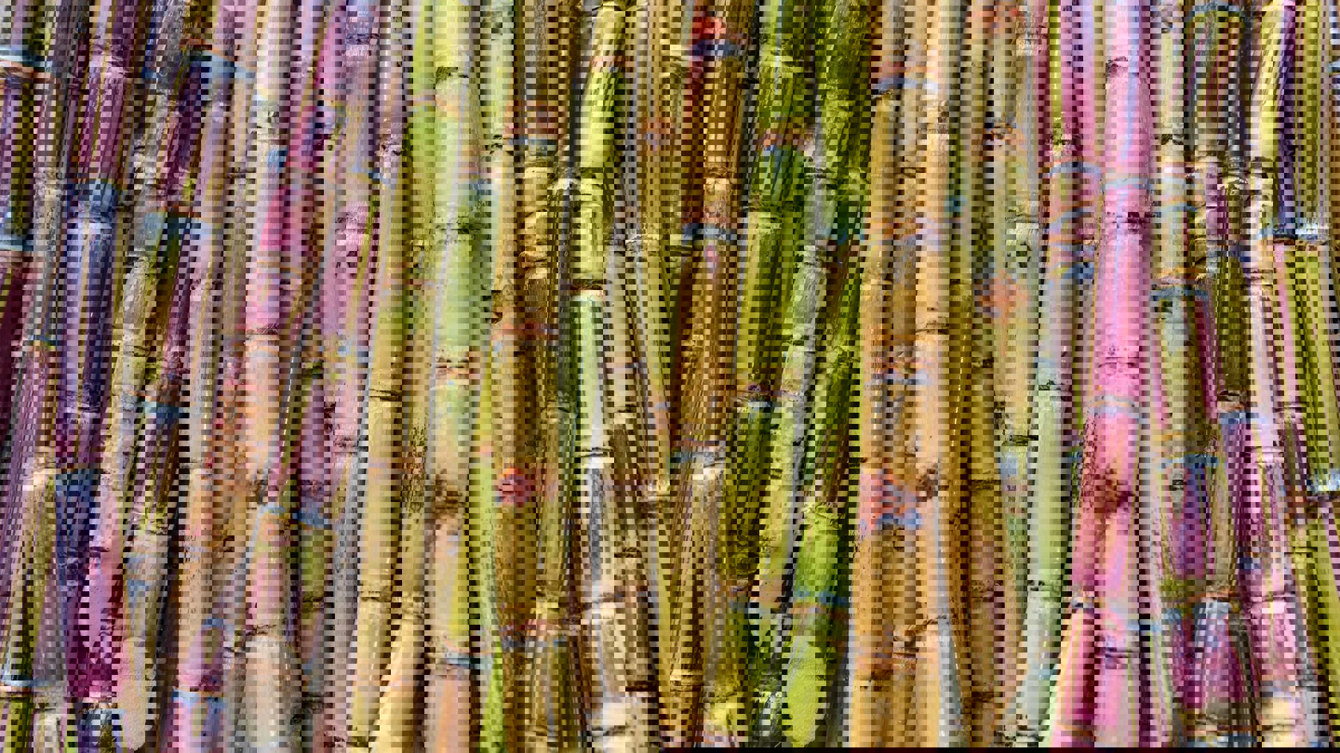 Adobestock 222608441
