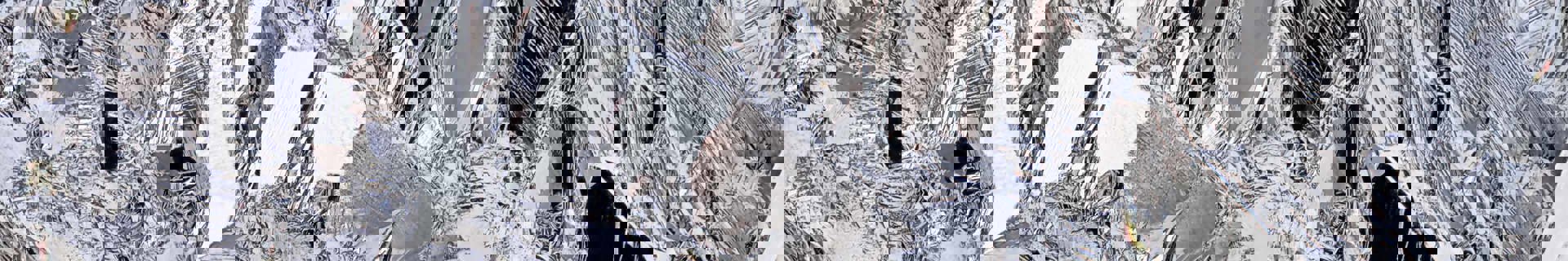 Adobestock 413587812