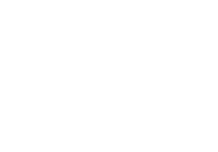 NT Progress