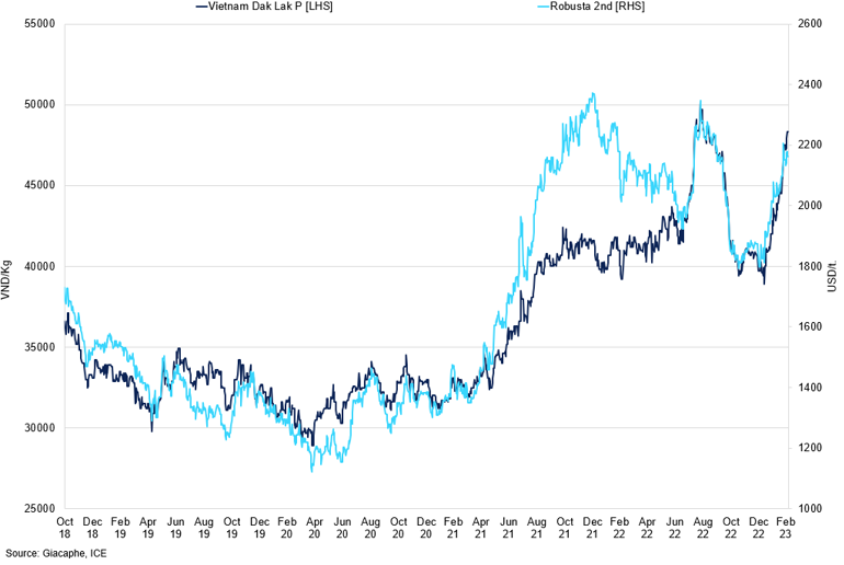 Robusta 2Nd Month Vs Dak Lak Price