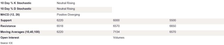 Tables 6 (425)