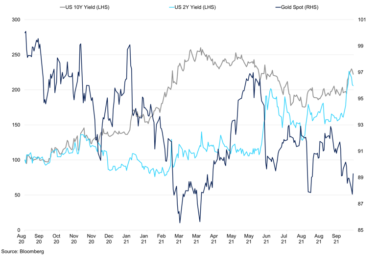 Gold Vs 10Yr And 2Yr Yield