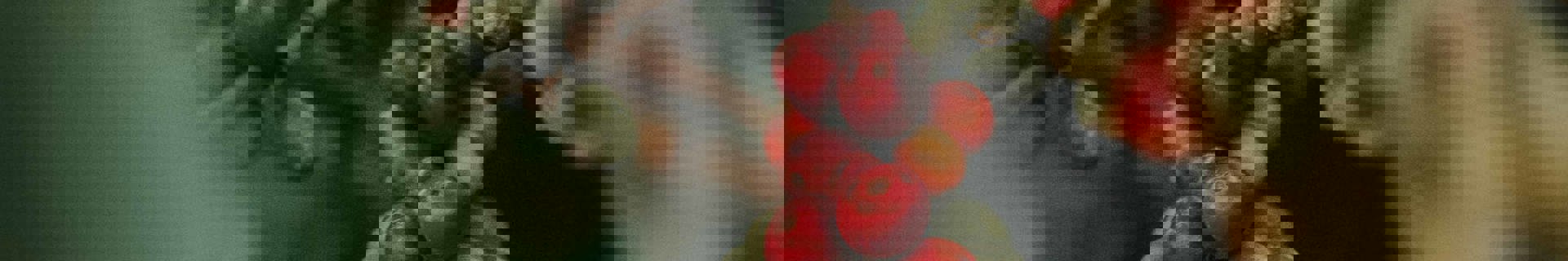 Eduardo Gorghetto Vj3kldg86eo Unsplash